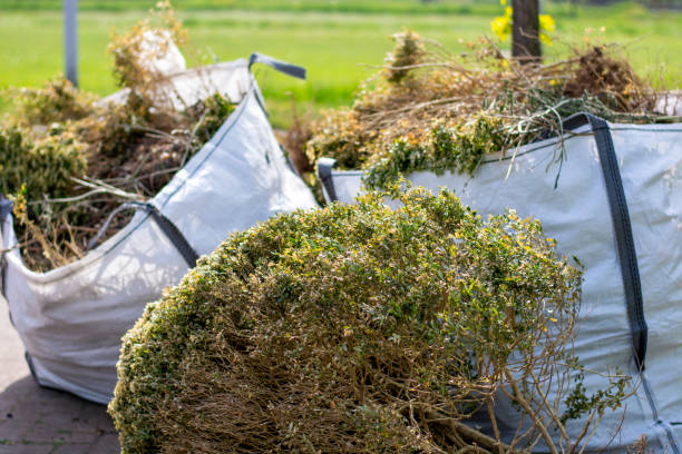 Best Yard Cleanup Services  in Campbell, OH